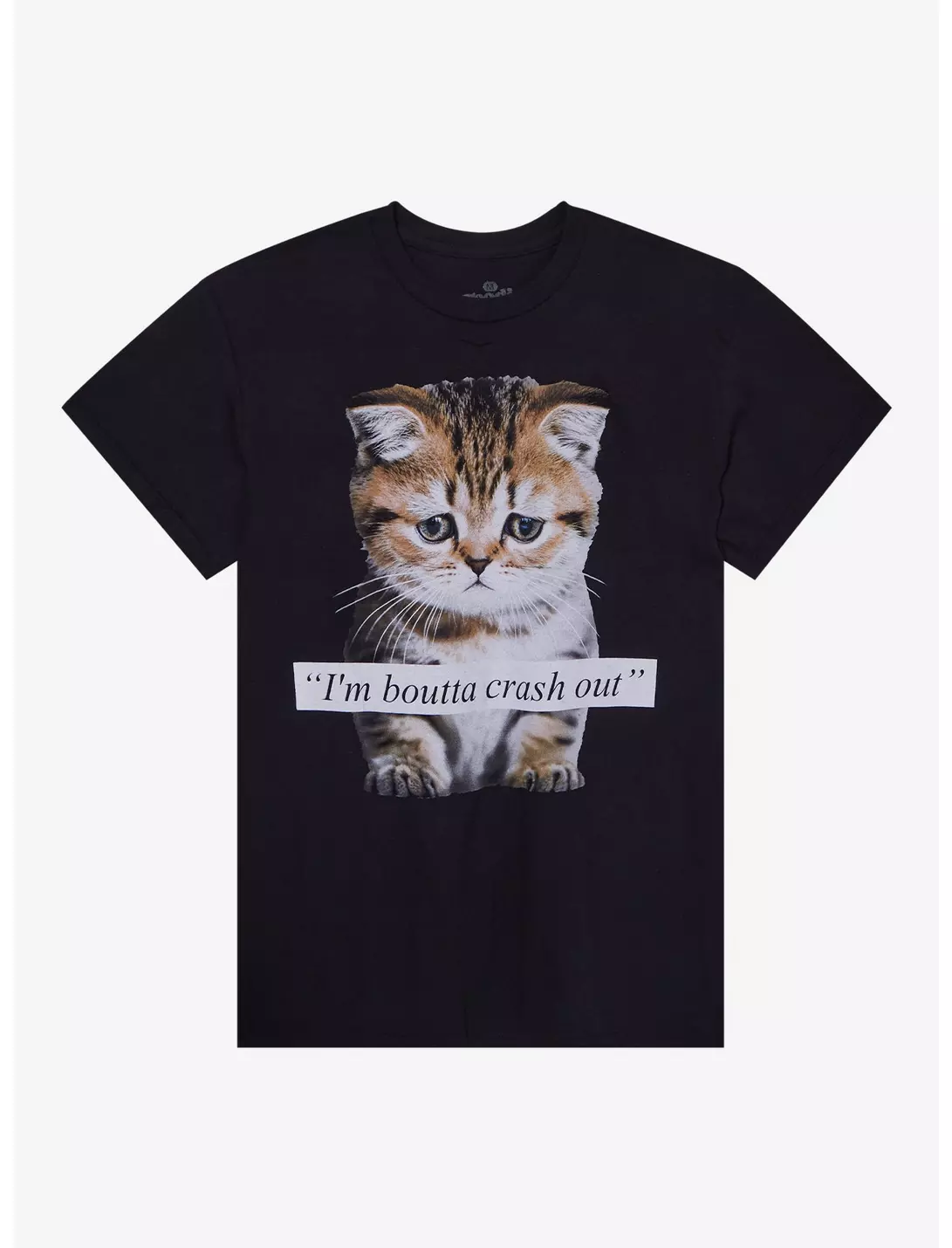 I'm Boutta Crash Out Cat T-Shirt